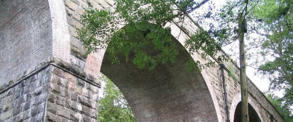 An old stone bridge with arched supports and a tree growing through it.