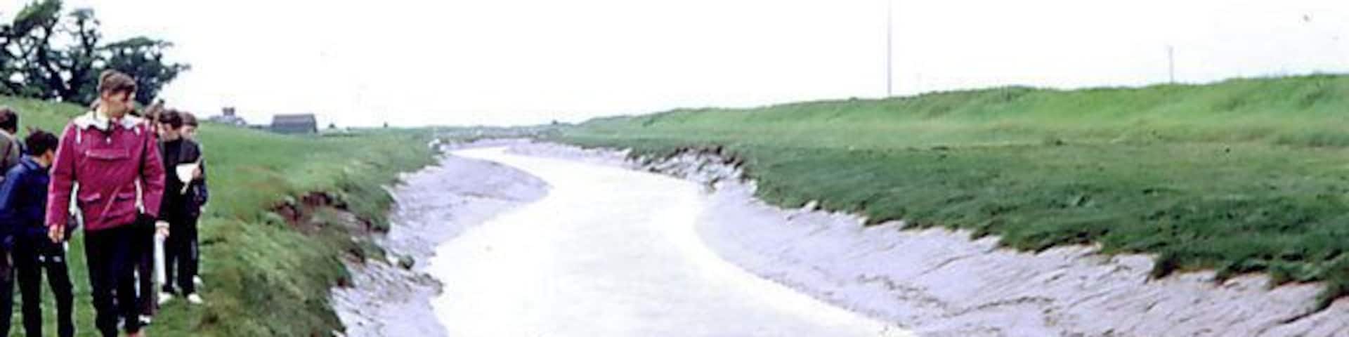 Willow matting on Steeping River. The willow matting, employed to reduce erosion, can be seen at the water's edge at low tide.