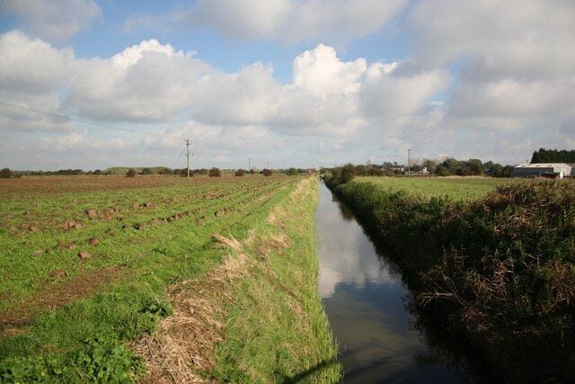 Croft Drain near Petersfield farm Looking north east from Low Road