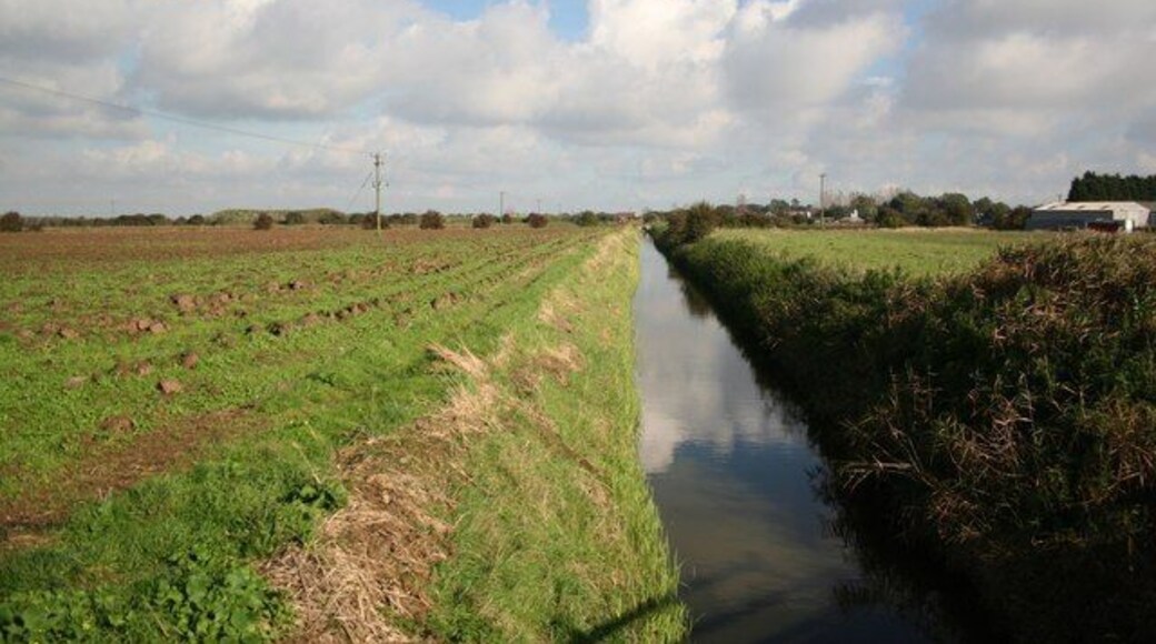 Croft Drain near Petersfield farm Looking north east from Low Road