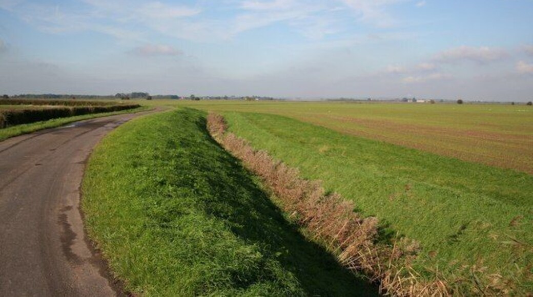 Croft Marsh Looking north west near Kitchen's Yard