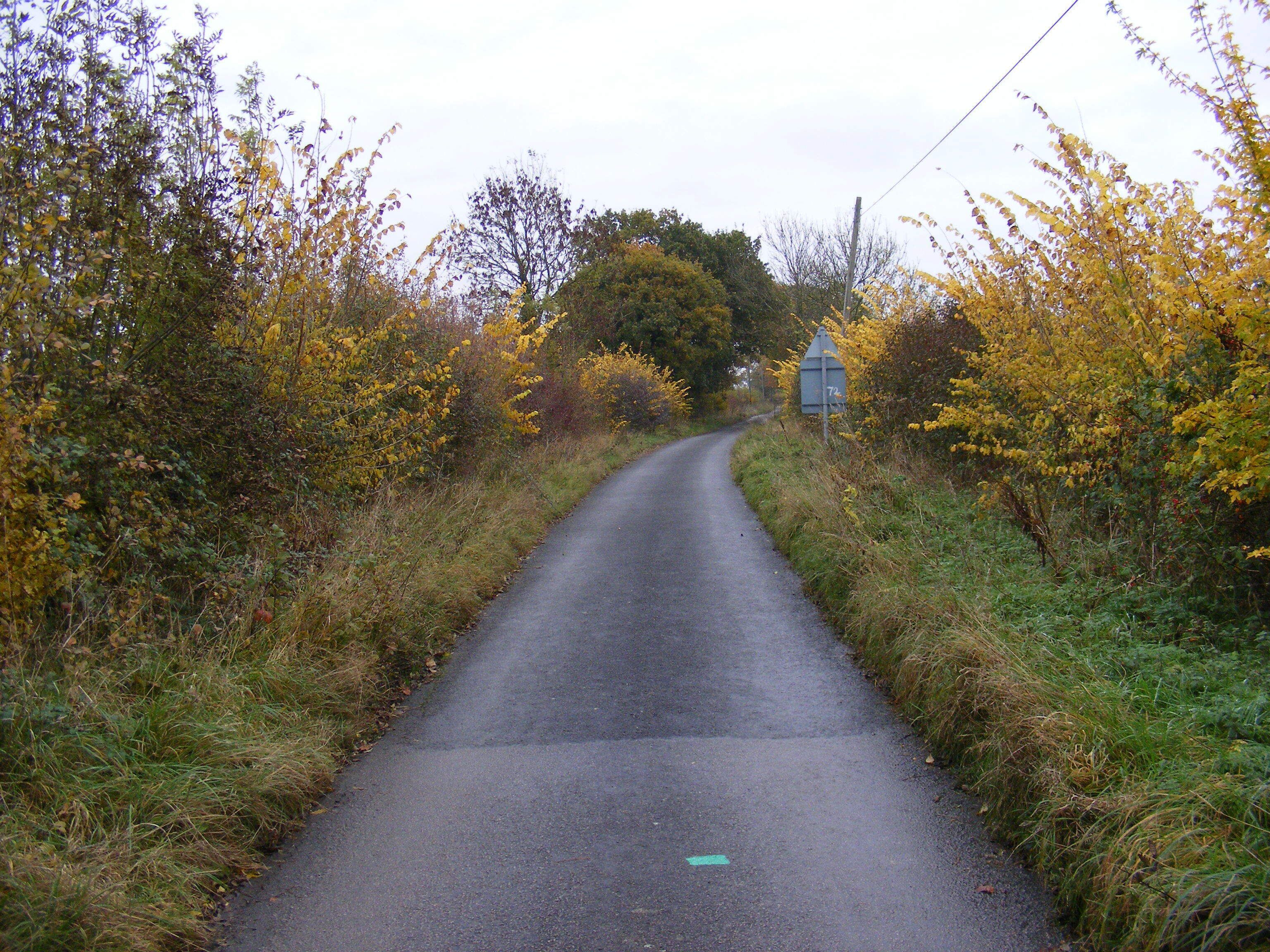 Fordley Road Looking towards Middleton