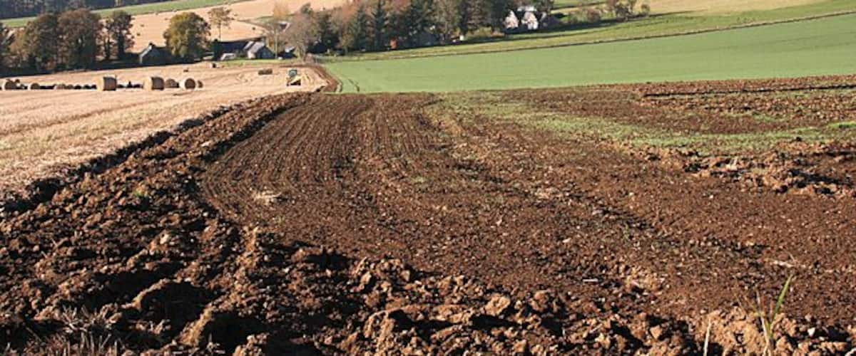 A plowed field, rolling hills, and scattered trees.