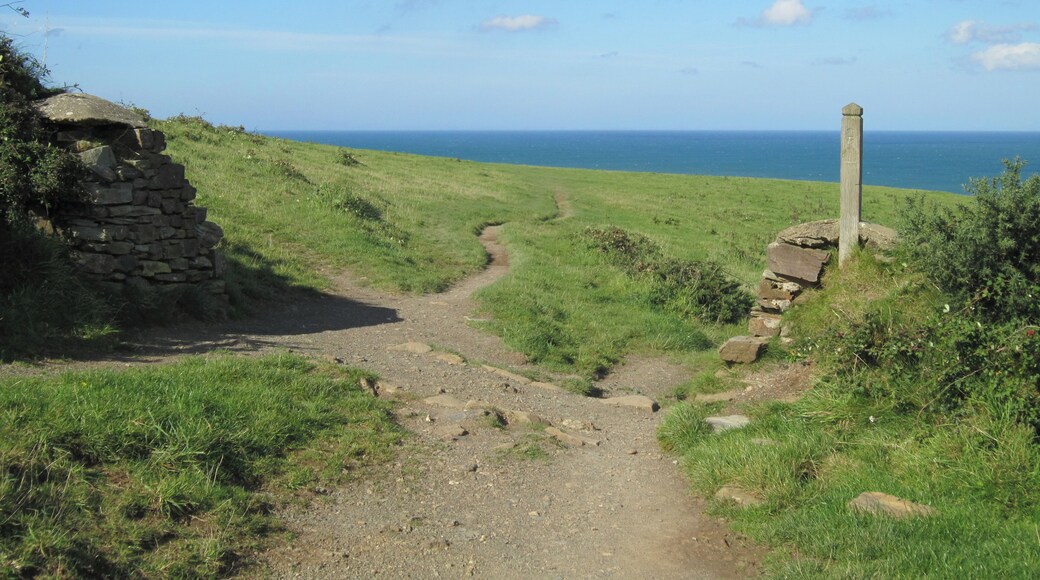 Port Isaac Hills, Cornwall, England