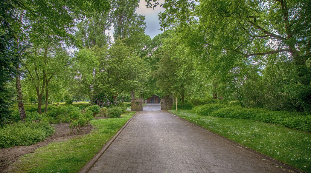 A part of Mülheim an der Ruhr - graveyard