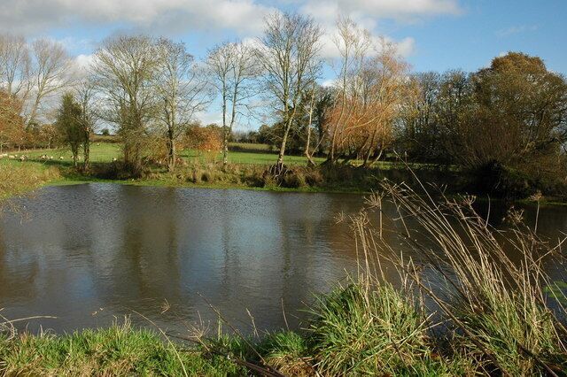 Roadside pool near Bow This roadside pool is beside the road junction called Blackpool about one mile to the east of Bow.