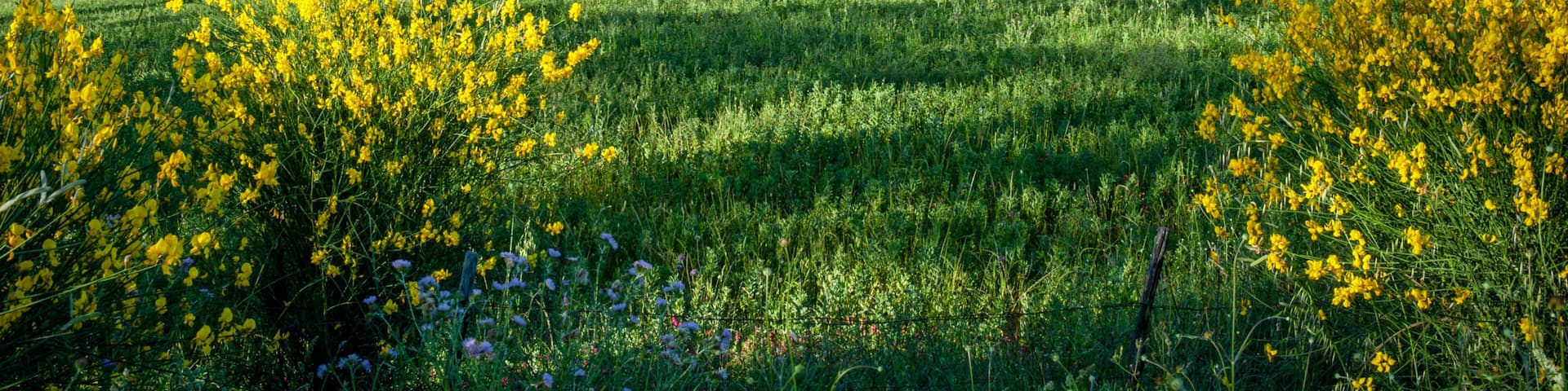 Torretta di Crucoli, district of Crotone, Calabria, Italy, Europe, view of the Ionian coast with the countryside of the territory in the foreground