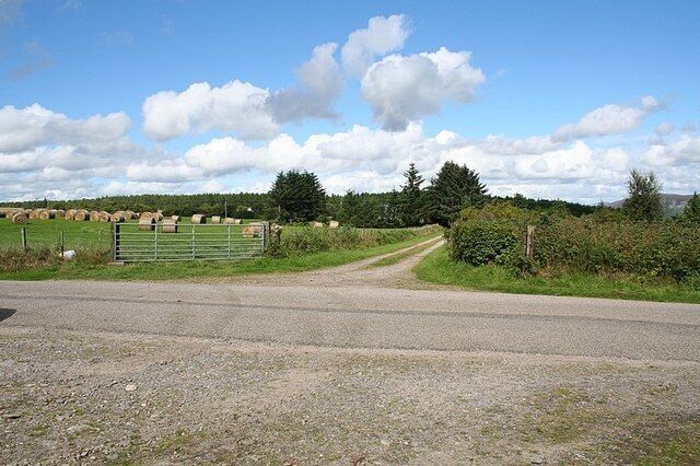 Skelbo Muir farm lane.