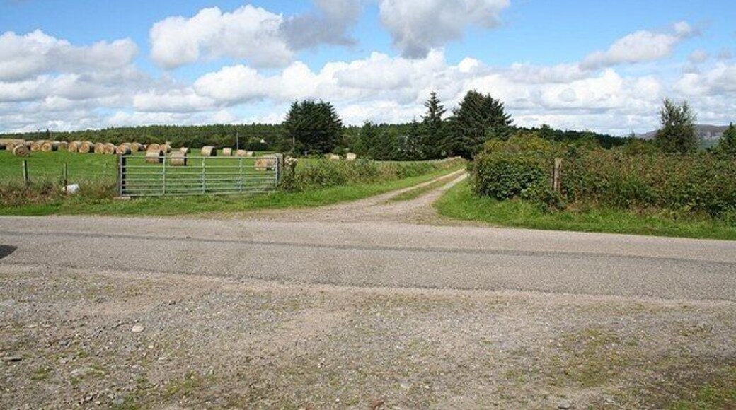 Skelbo Muir farm lane.
