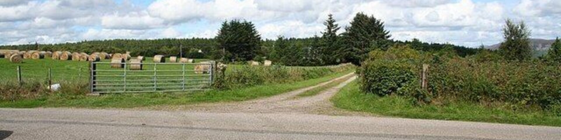 Un camino rural con una reja de metal, fardos de heno al fondo y un cielo despejado.