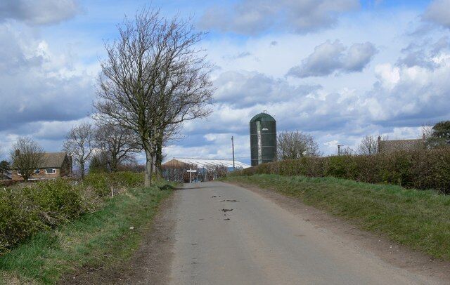 A rural road with a silo in the distance, surrounded by trees and open fields.