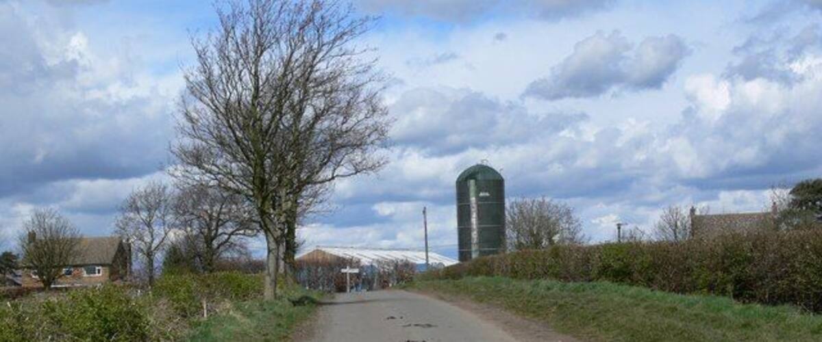 A rural road with a silo in the distance, surrounded by trees and open fields.