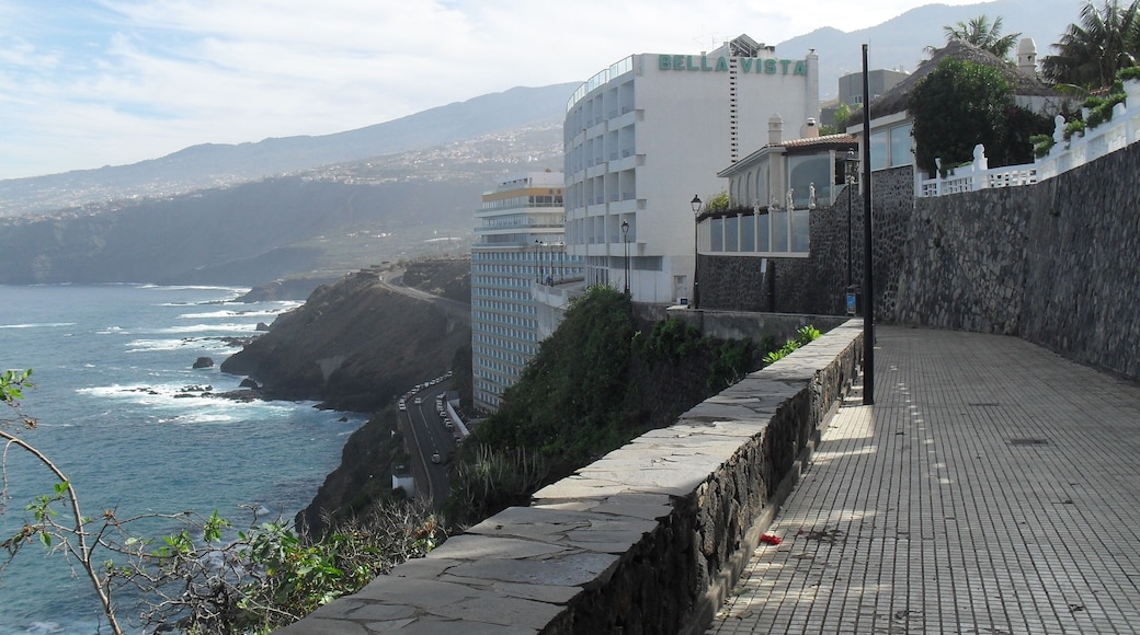 puerto de la cruz