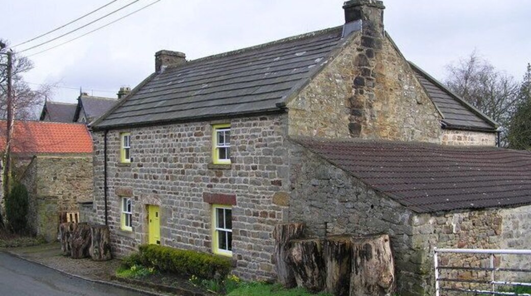Cottage : Newsham Village.
