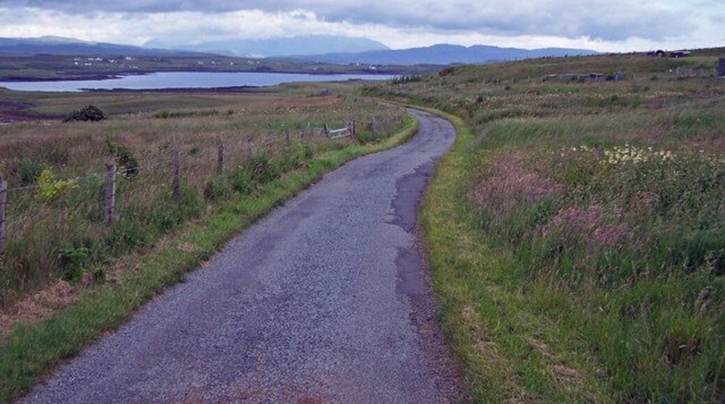 Road to Ardroag Looking south east down the hill. The roadside is a mass of wild flowers and grasses. Lost in the cloud on the horizon is the Cuillin mountain range.