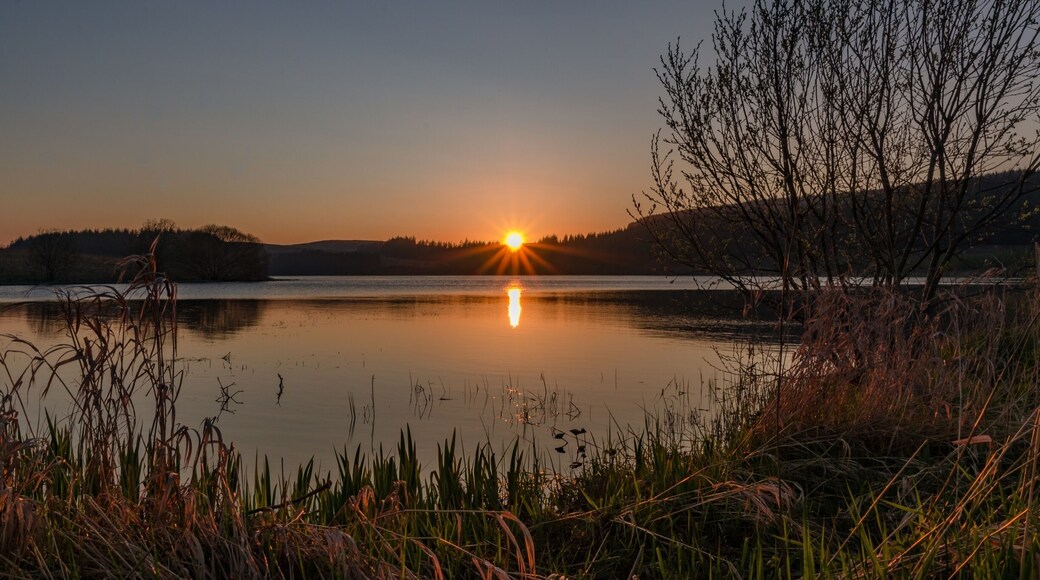 Taken at Alemoor reservoir at sunset,nothing beats the evening light :)