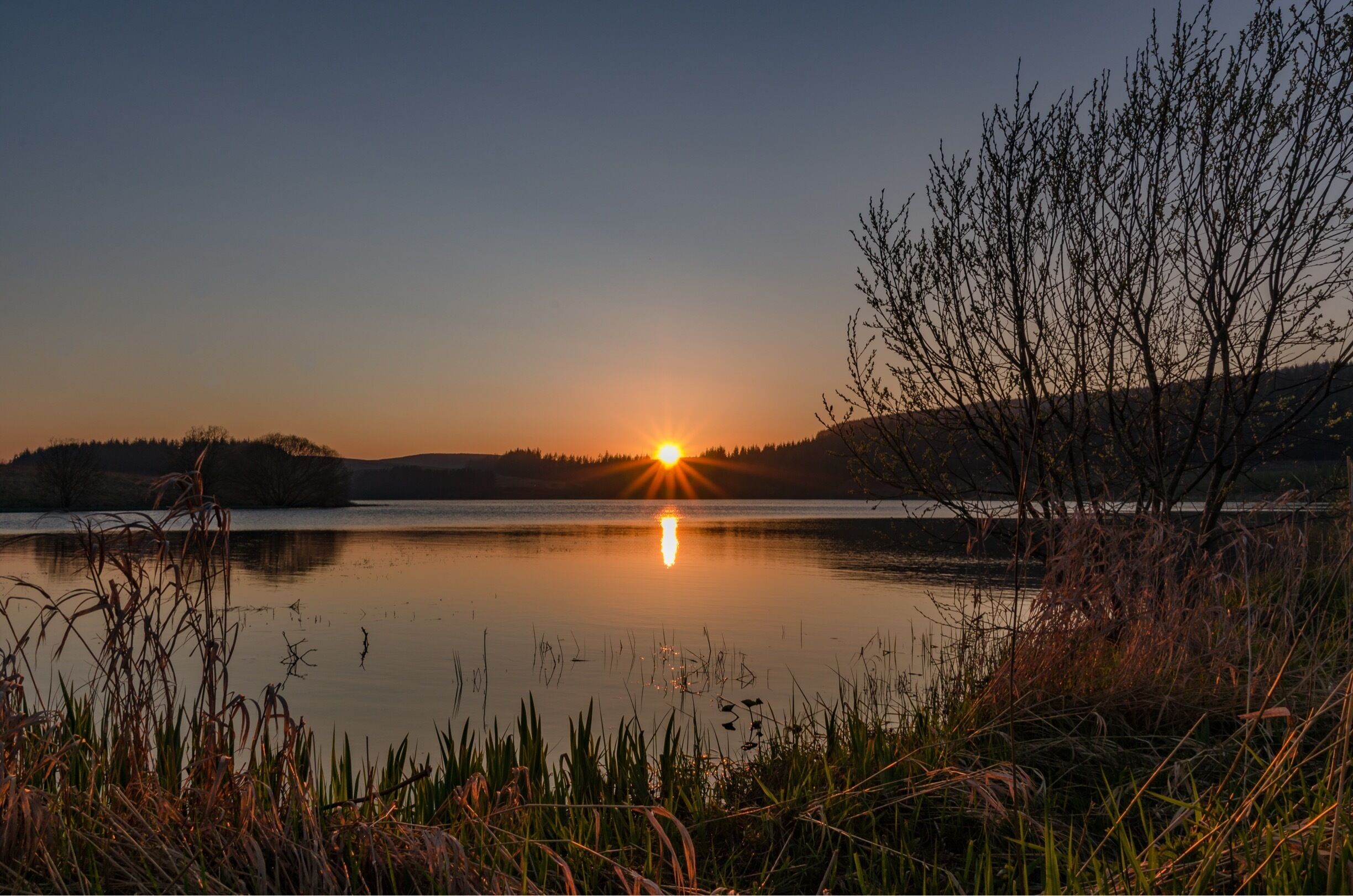 A sunset over a calm lake with reflections, surrounded by trees and reeds.