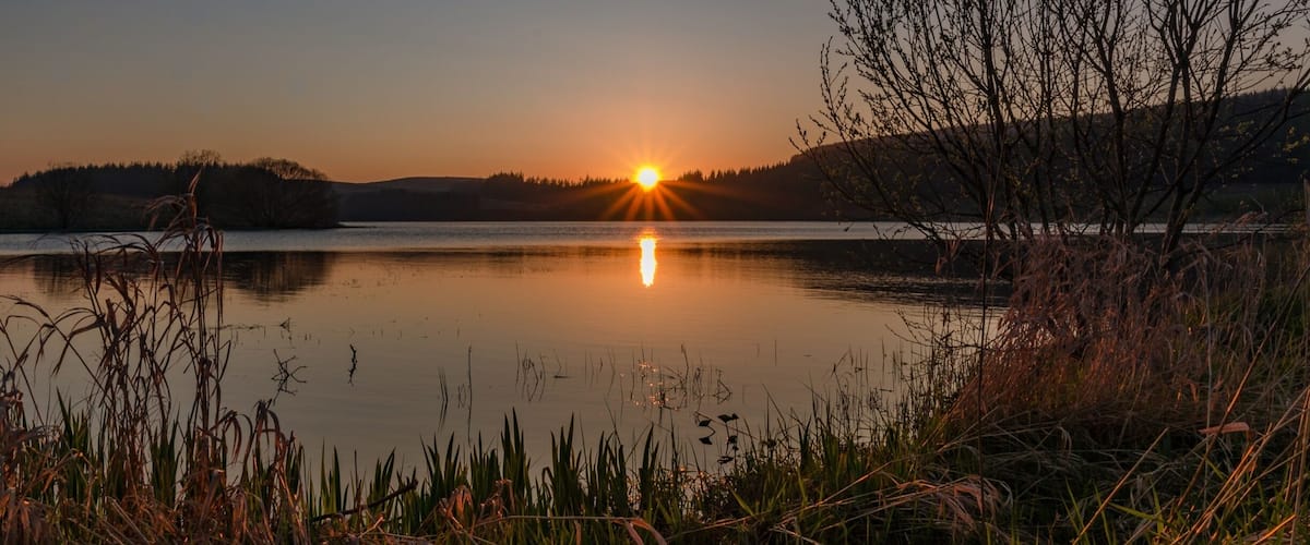 A sunset over a calm lake with reflections, surrounded by trees and reeds.