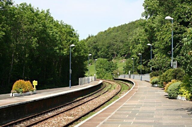 Looking Northeast from Bodmin Parkway Station Looking onto the wooded side of the Glynn Valley.