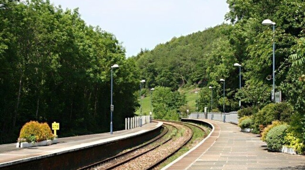 Looking Northeast from Bodmin Parkway Station Looking onto the wooded side of the Glynn Valley.