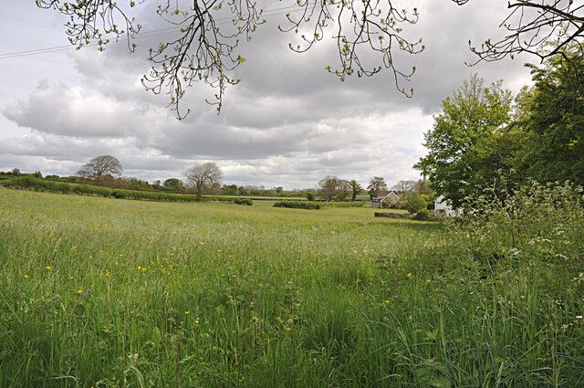 Rich meadows - Gileston