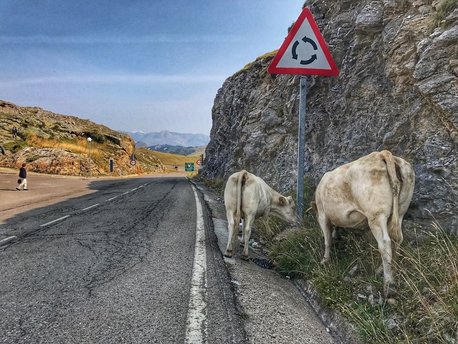 border in the Spanish Pyrenees where the cattle descends from the mountain to the villages because the winter is coming