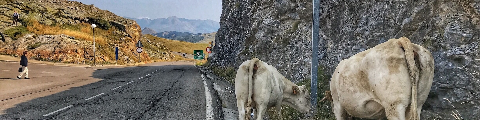 border in the Spanish Pyrenees where the cattle descends from the mountain to the villages because the winter is coming