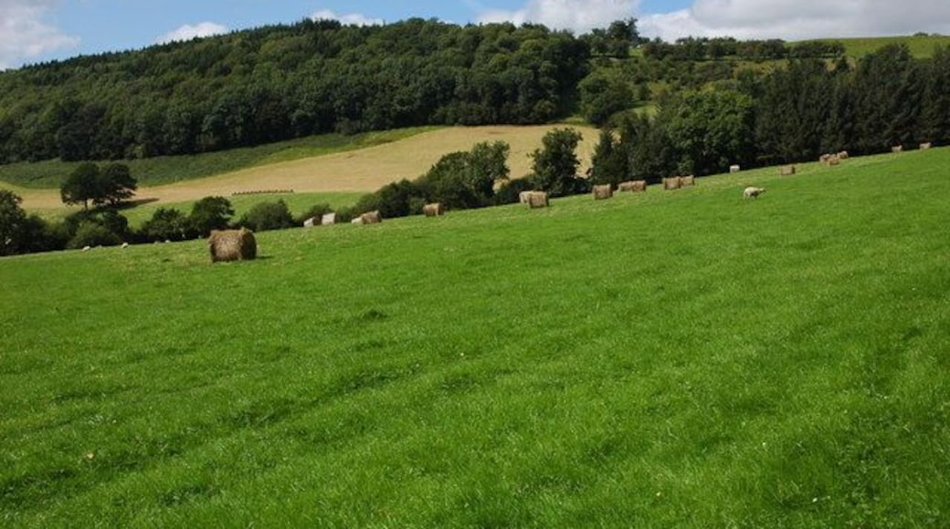 Large hay bales near Fachwen Large hay bales in a field above Fachwen. The wood on the hill in the background is Bryn-y-pentre Wood.