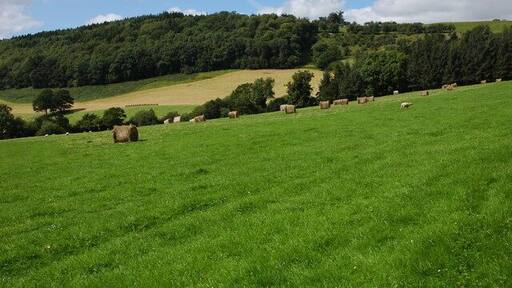 Large hay bales near Fachwen Large hay bales in a field above Fachwen. The wood on the hill in the background is Bryn-y-pentre Wood.