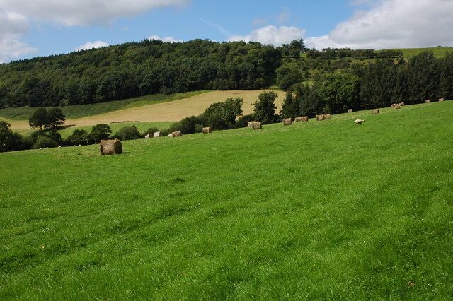 A green field with hay bales and sheep grazing.