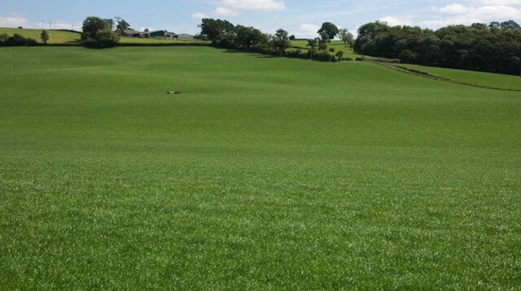 Farmland near Cefn Farm, Aberhafesp Farmland to the west of Cefn Farm near the village Aberhafesp.