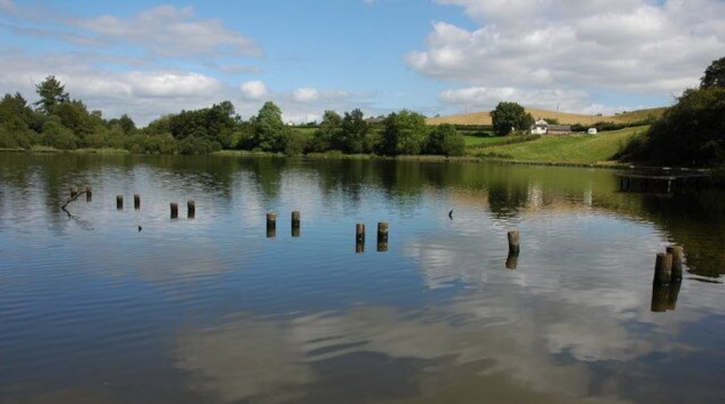 Fachwen Pool The remains of a jetty in Fachwen Pool.