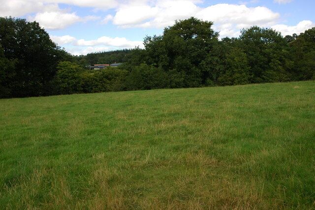 Field near Bwlch-y-ffridd Gilfach can be seen beyond the hedge on the far side of the field.