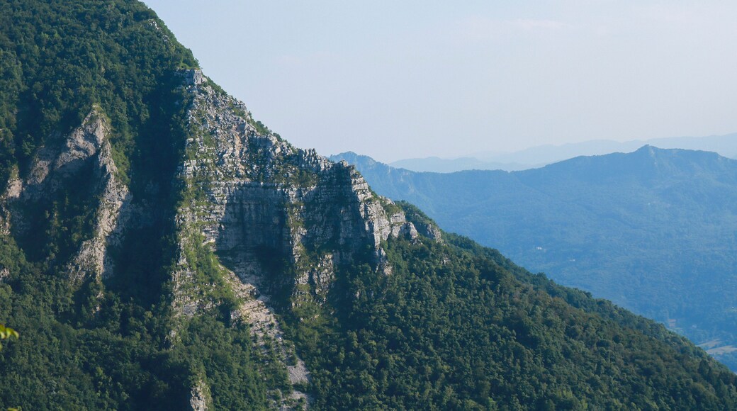 トレスケ コンカ