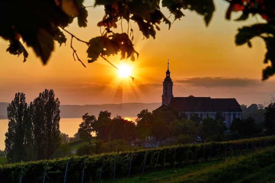A sunset over a body of water with a church and vineyard in the foreground.