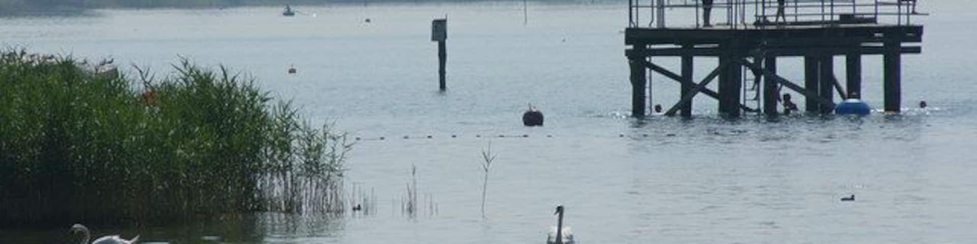 Neben dem Pier bei Nussdorf