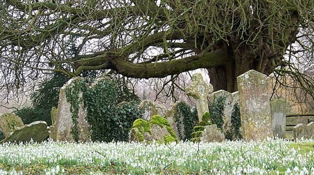 Snowdrops, Abbotts Ann The churchyard at St Mary's Church with its carpet of snowdrops.