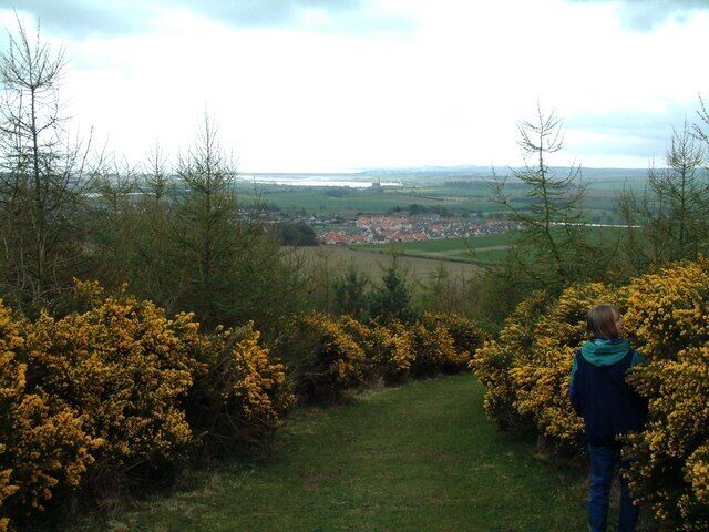 Balmullo from Lucklaw. Looking down to Balmullo village from the slopes of Lucklaw Hill. (The building in the central background that somewhat resembles a church with a steeple is actually the paper mill in Guard Bridge with its chimney stack.)