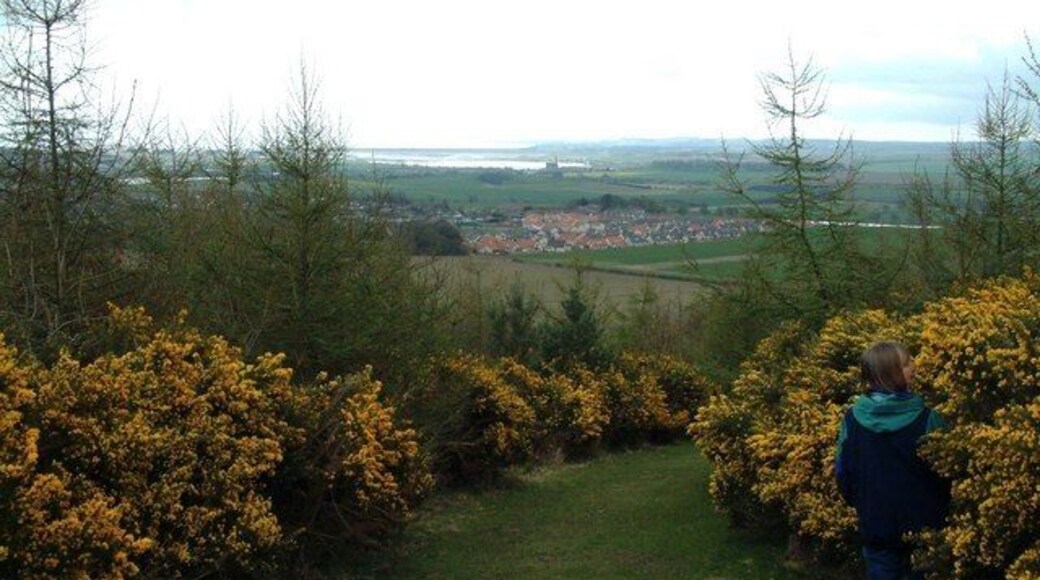 Balmullo from Lucklaw. Looking down to Balmullo village from the slopes of Lucklaw Hill. (The building in the central background that somewhat resembles a church with a steeple is actually the paper mill in Guard Bridge with its chimney stack.)