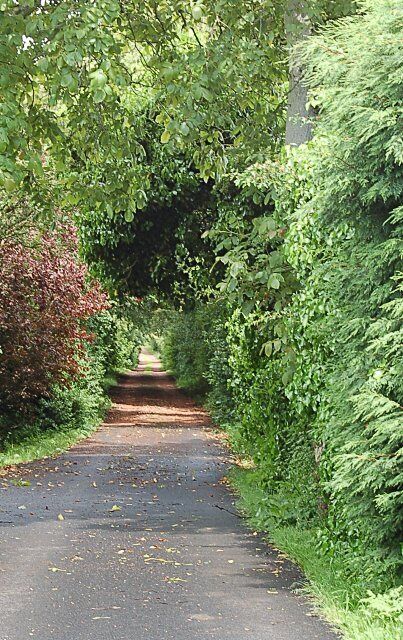 Drive to Castle Cynicus Martin Anderson was born in 1854 at nearby Leuchars and went on to make his name and fortune as an artist and postcard printer and designer at Tayport just down the road. From the profits he and his sister built a fine house at the top end of this tree lined drive in Balmullo. The locals thought it was so fine they called it Castle Cynicus after his pen name. He died in poverty in 1932 and his house was demolished in 1939. Today little remains but this drive and a modern place name in the village.
