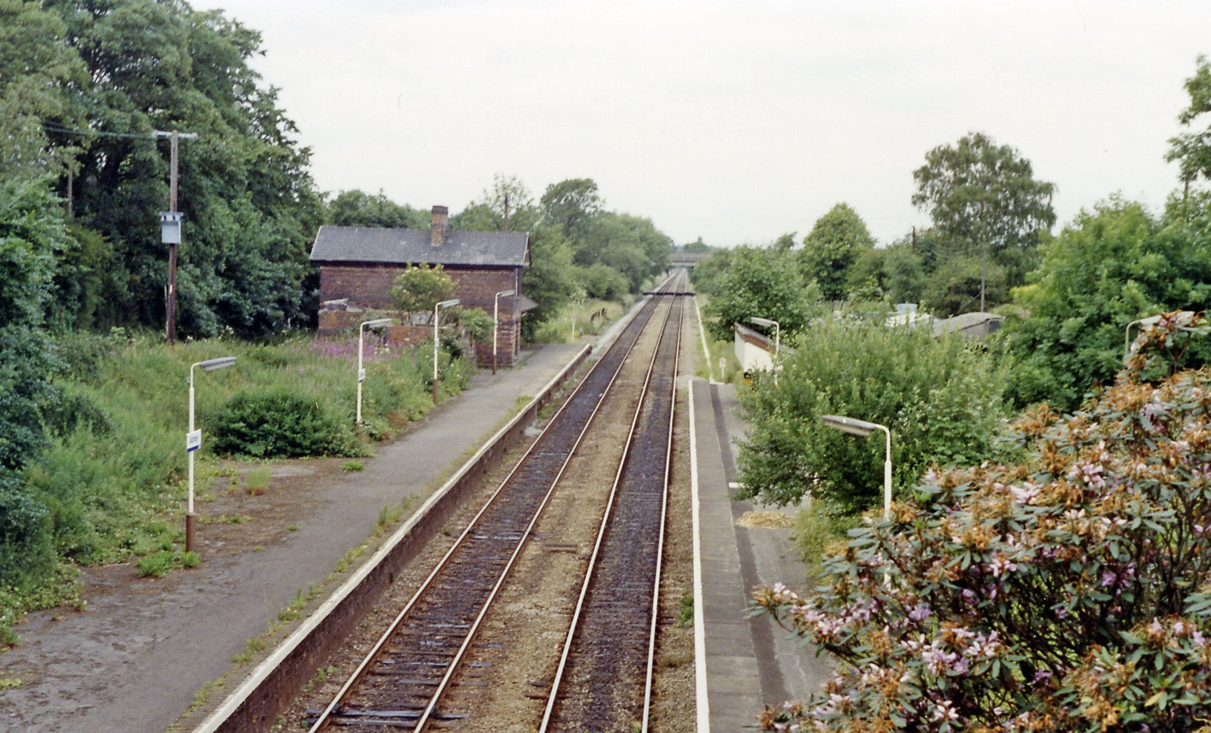 Railway tracks with a brick building in the background, surrounded by greenery.