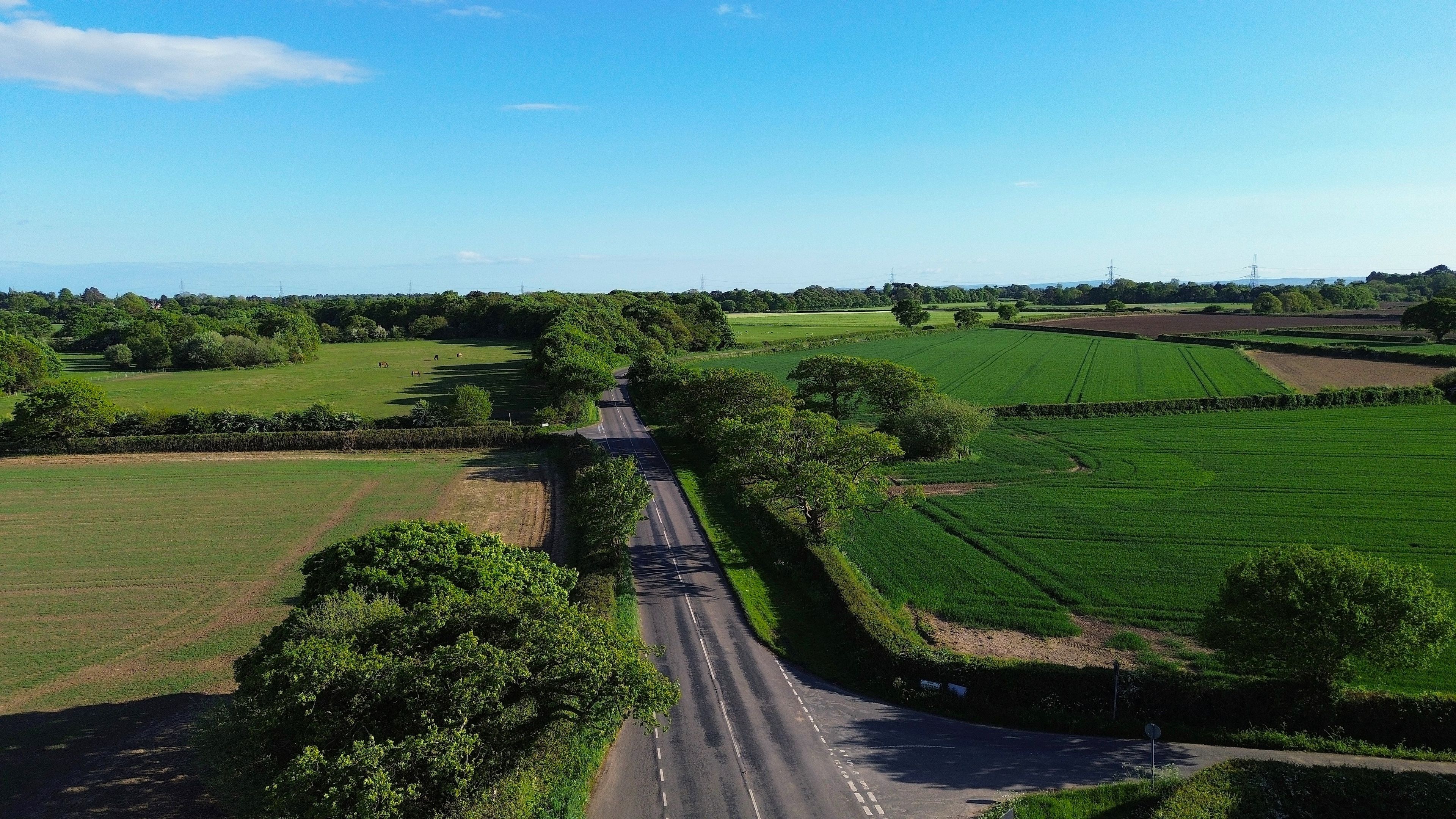 A rural landscape with a winding road, green fields, and scattered trees.