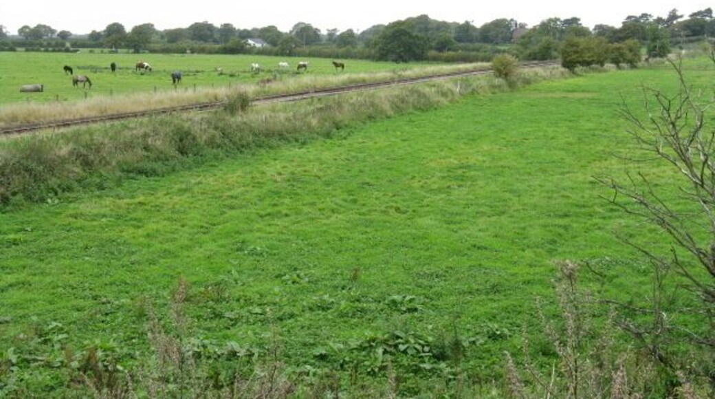 Railway At Lower House Bridge