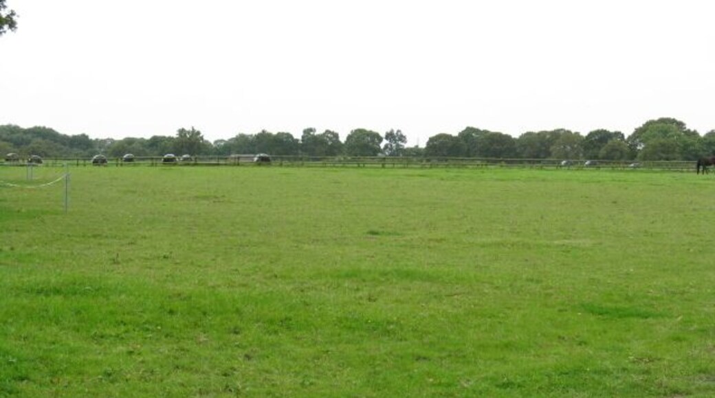 Fields Of Middle House Farm