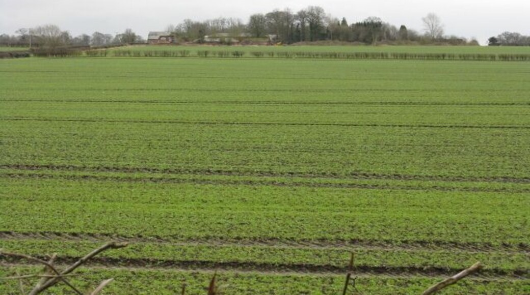 Bollin Valley Fields Verdant Cheshire countryside, just across the county boundary from Greater Manchester.