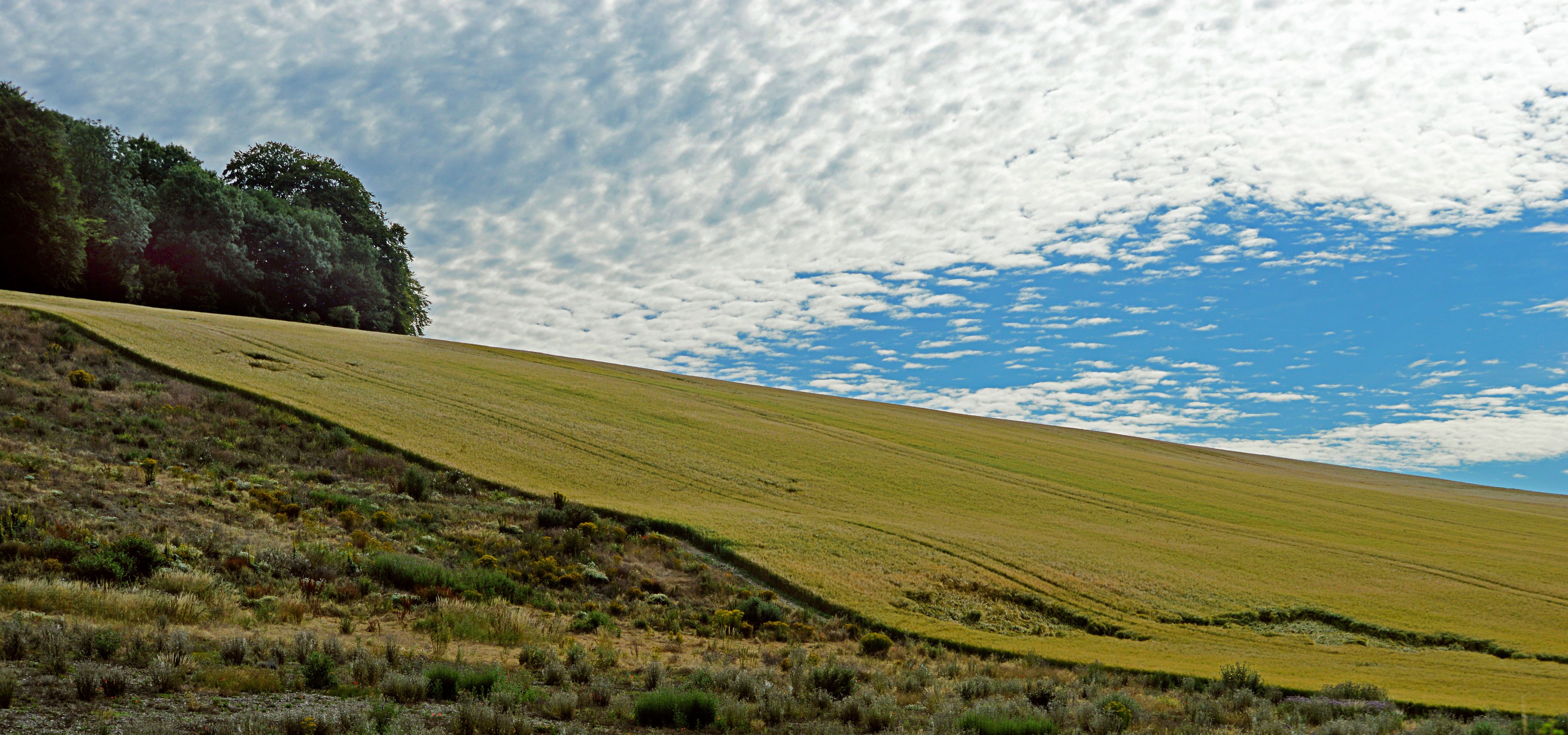 A rolling grassy hill with a clear sky and scattered clouds.