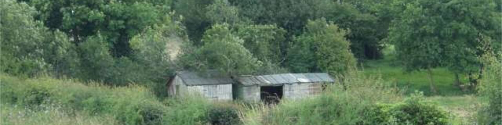 Ford at Sheepwash The ford at Sheepwash isn't really very impressive.