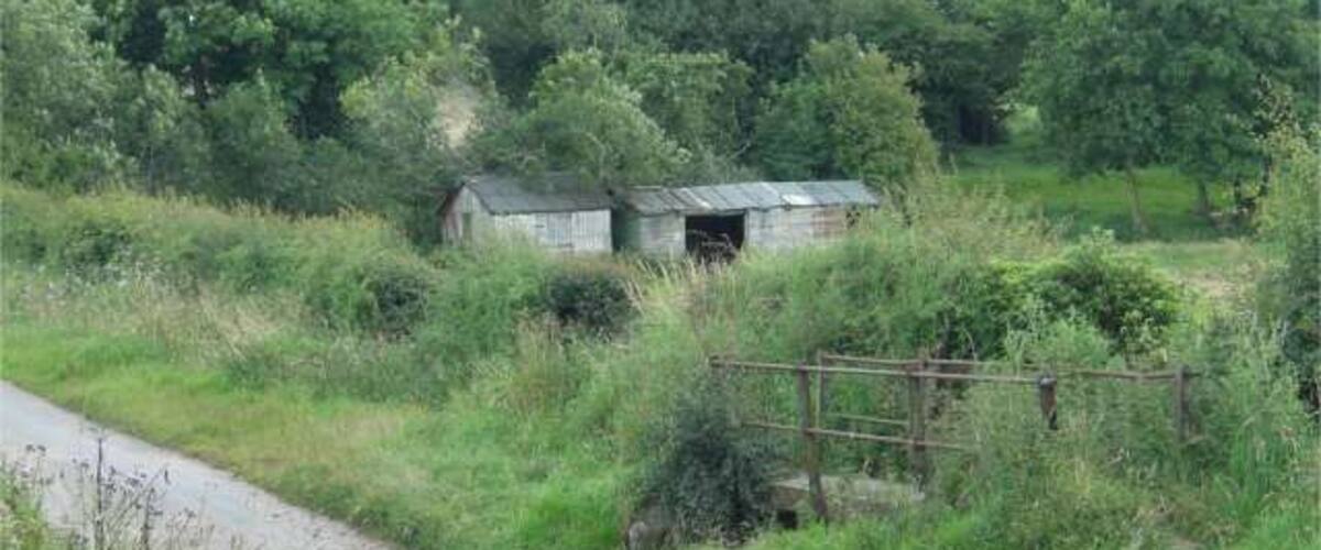 A rural road with a small stream, a wooden fence, and a dilapidated building in the background.