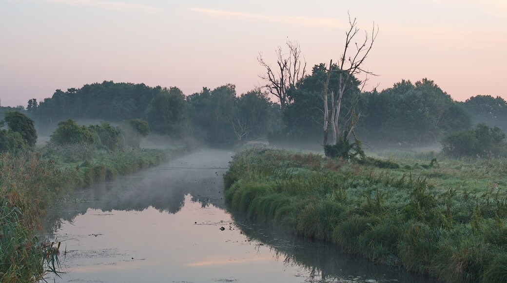 Ein nebliger Fluss, umgeben von dichtem Grün und Bäumen.