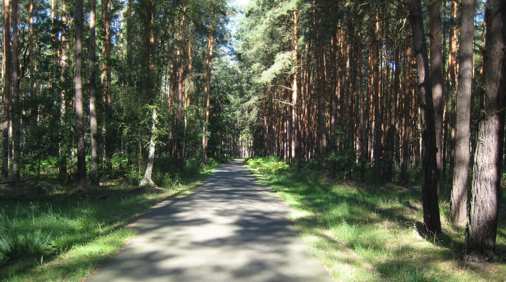Fläming-Skate Strecke RK1 zwischen Stülpe und Holbeck